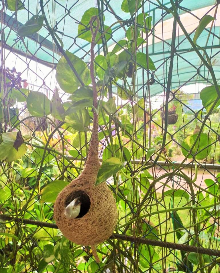 Yantiti Leather Bags